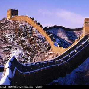 成人在线免费8888www
