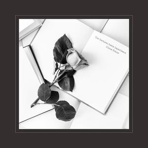 成人在线免费8888www
