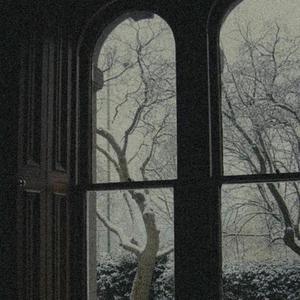 成人在线免费8888www
